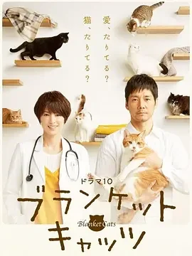 毛毯猫 毛毯猫咪 / 猫咪情缘 / 毛毯与猫 / 毯子与猫 / ブランケット・キャッツ