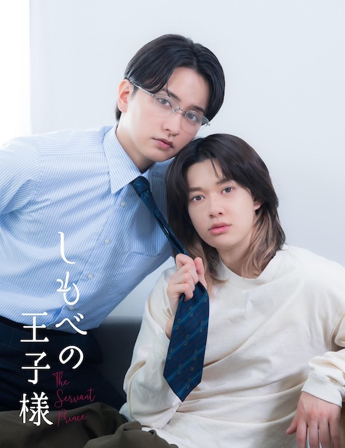 《仆人的王子殿下》百度云网盘夸克下载.阿里云盘.中字.(2026)