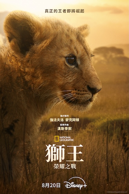 《狮王:荣耀之战》百度云网盘夸克下载.阿里云盘.中字.(2026)