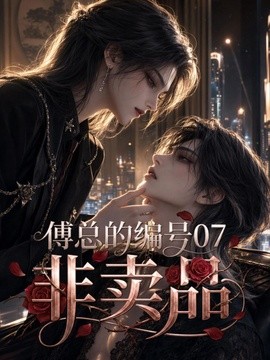 傅总的编号07非卖品（65集）AI短剧 (2026)
