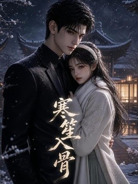 寒笙入骨（148集）AI短剧 (2026)