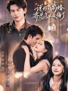 说好的离婚齐总怎么反悔了（40集）尹晨攒＆宗沐一 (2026)