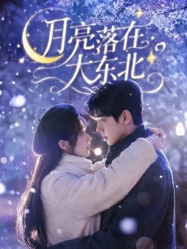 月亮落在大东北（70集）AI短剧 (2026)