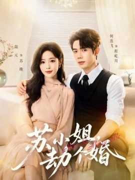 苏小姐，劫个婚（80集）何连飞＆陆元 (2026)