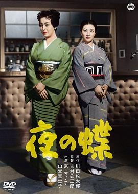 夜之蝶 (1957) 丨京町子 / 山本富士子主演丨剧情丨日本电影