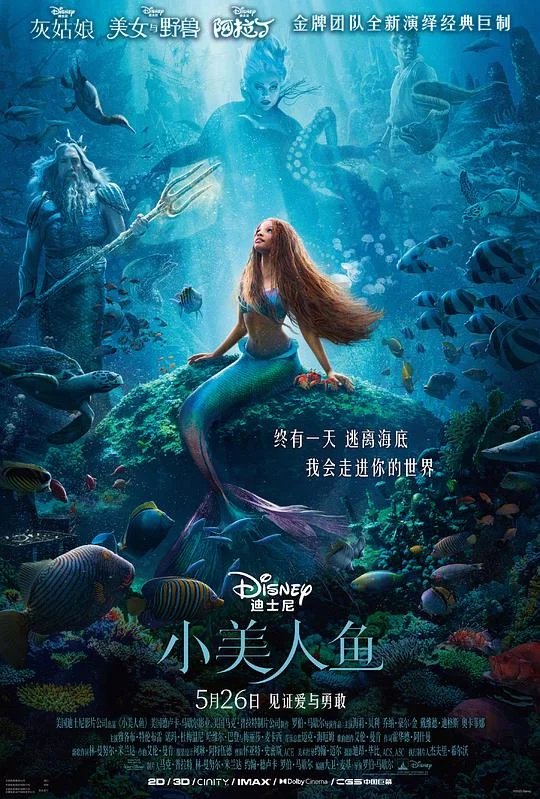 小美人鱼 小鱼仙(港) / 小美人鱼真人版 / 迪士尼版小美人鱼