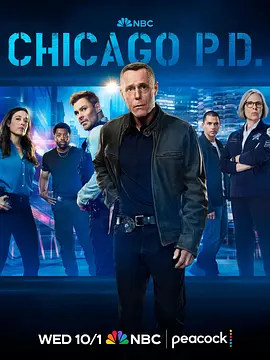 芝加哥警署 第十三季 芝加哥警局 / Chicago Police Department / Chicago P.D. Season 13