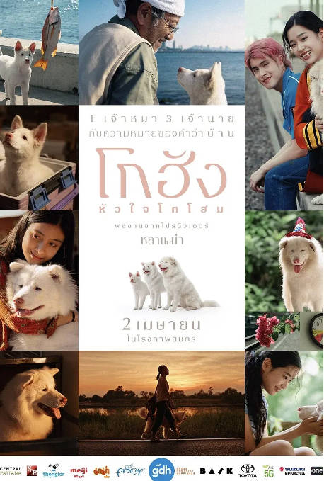 [夸克网盘]泰国电影《心犬相随》（2026）剧情 / 喜剧 / 爱情