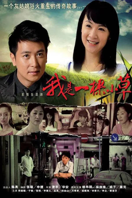 [迅雷云盘][国剧]《我是一棵小草》（2009）剧情 豆瓣6.8