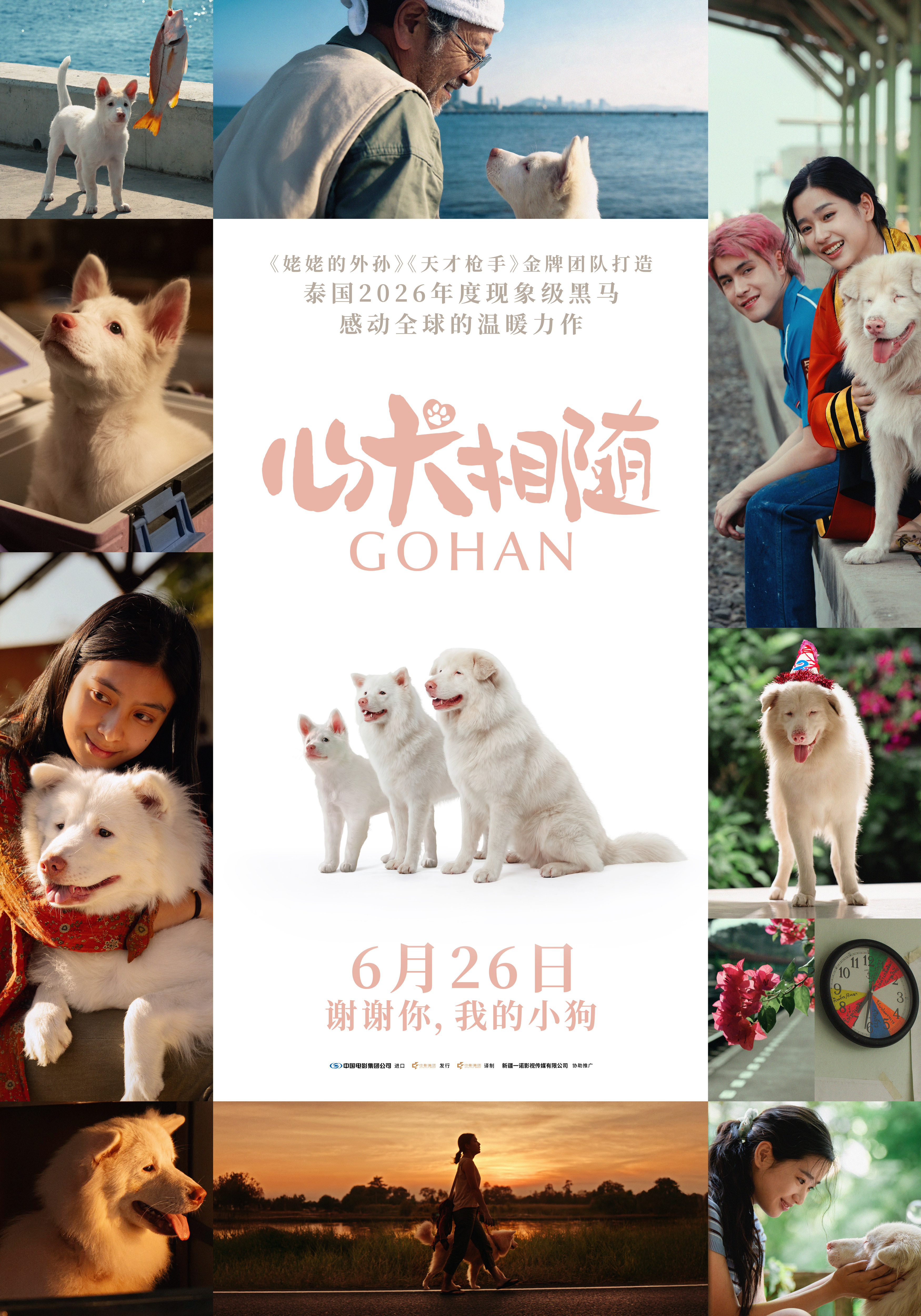 《心犬相随》百度云网盘夸克下载.阿里云盘.中字.(2026)