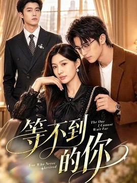 等不到的你（65集）黄盈（黄壹壹）&王青泽 (2026)