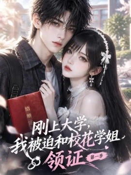 刚上大学，我被迫和校花学姐领证第一季（194集）AI短剧 (2026)