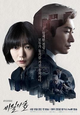 秘密森林 (2017) 丨曹承佑 / 裴斗娜主演丨剧情 / 悬疑丨韩剧丨豆瓣9.2分丨 全2季