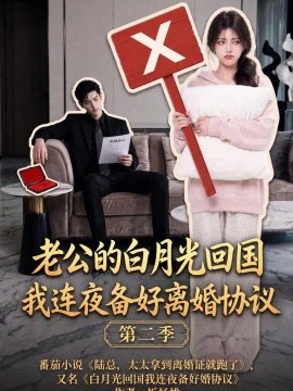 老公的白月光回国我连夜备好离婚协议第二季（165集）AI短剧 (2026)