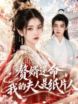 赘婿逆命我的夫人是纸片人（78集）AI短剧 (2026)