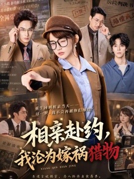 相亲赴约，我沦为嫁祸猎物（41集）赵梦娜&张玉忱 (2026)