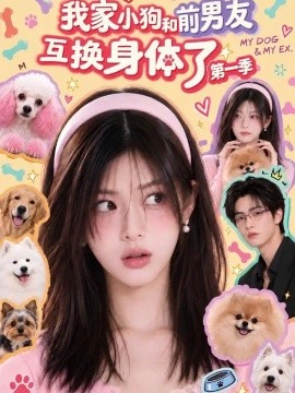 我家小狗和前男友互换身体了第一季(100集)AI短剧 (2026)