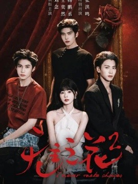 无主之花2（70集）刘念&杨鹏丞＆王奕然＆张洪鸣 (2026)