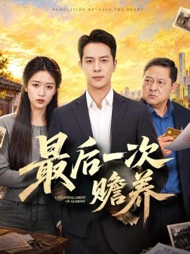 最后一次赡养（40集）史宣洪&宋喃 (2026)