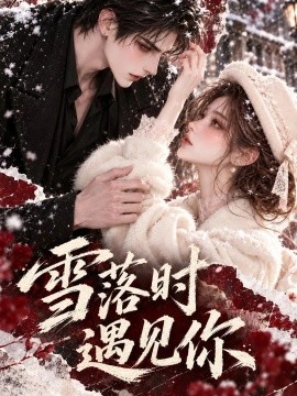 雪落时遇见你（318集）AI短剧 (2026)