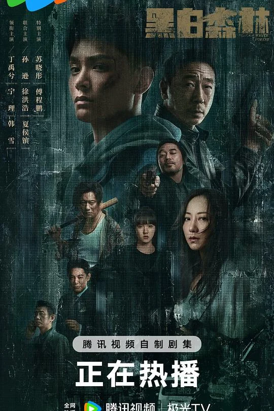 黑白森林 黑白系列4 / Black and White Forest