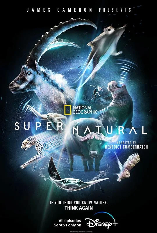 超凡动物奇观 超 / 自然 / 超级 / 自然 / Super / Natural