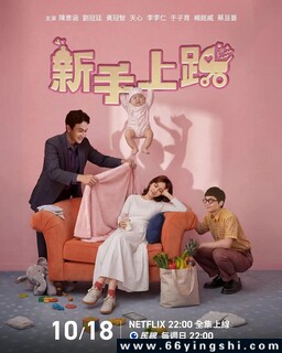 新手上路[全集]_免费下载_国剧_电影港