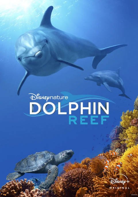 [夸克网盘]美国纪录片《海豚礁》（2022）豆瓣8.8