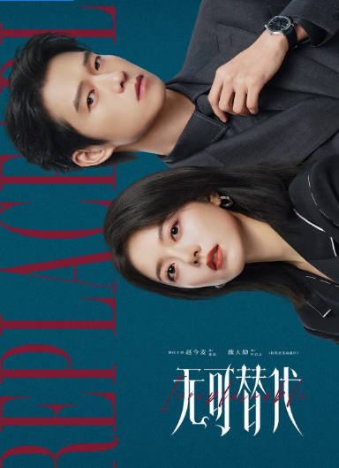 [夸克网盘][迅雷云盘][国剧]《无可替代》（2026）剧情