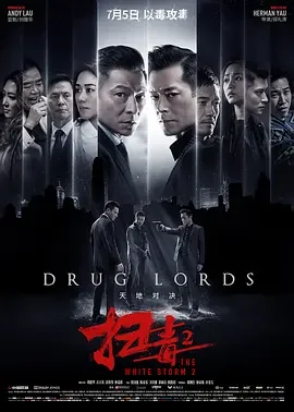 扫毒2:天地对决 扫毒2天地对决 / The White Storm 2: Drug Lords