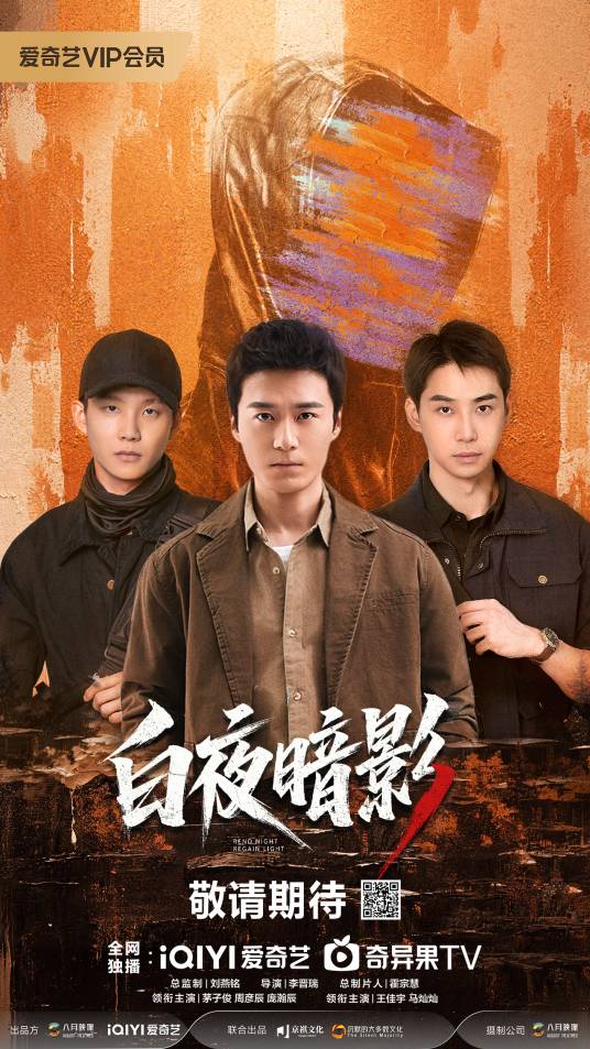 电视剧《白夜暗影》1080P高清资源夸克网盘免费下载