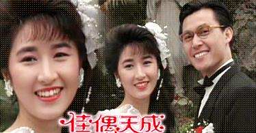 电视剧《佳偶天成》高清完整版夸克网盘免费资源下载