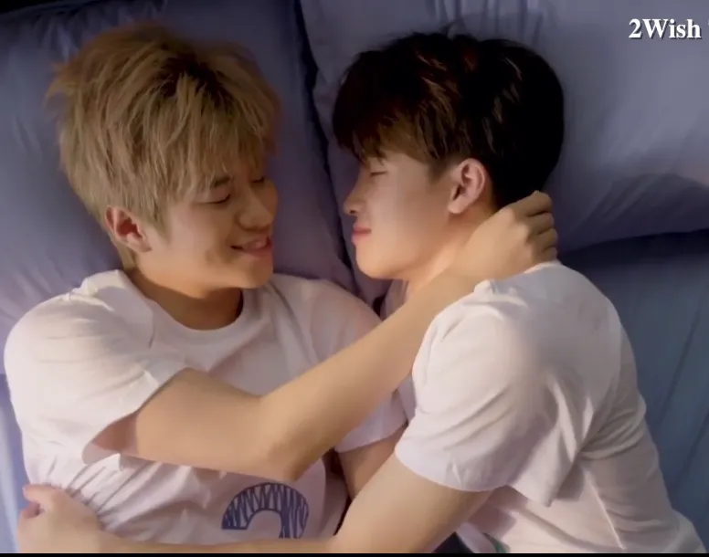《有生之年》 2Wish The Series-爱情 / 同性 -泰腐同性BL-夸克网盘-免费下载