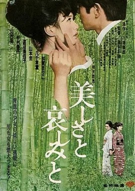 美丽与哀伤 (1965)丨7.1分丨筱田正浩/渡边美佐子作品 改编自川端康成原著 日语中字