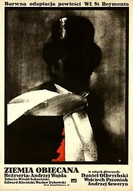 福地 (1975)丨8.2分丨奥斯卡最佳外语片提名 安杰伊·瓦伊达作品 波兰语中字