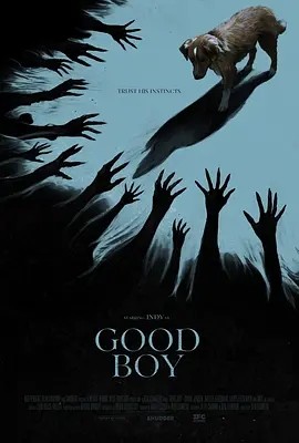 美影丨好狗狗 Good Boy (2025)丨西南偏南电影节展映