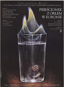鹰冠戒指 (1993)丨安杰伊·瓦伊达导演作品 波兰语中字