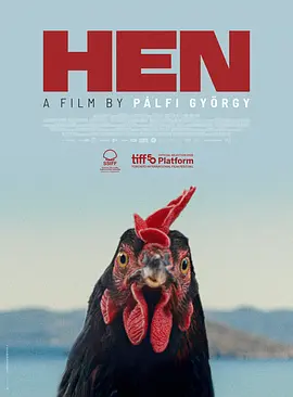 母鸡 (2025) 丨雅尼斯·科基亚斯梅诺斯 / 玛丽亚·迪亚科帕纳约图主演丨剧情 / 家庭丨德国电影丨[多伦多]站台奖 提名