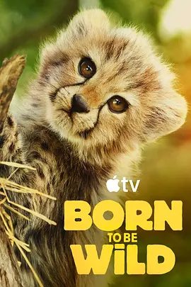 生而狂野 Born To Be Wild