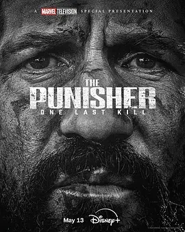 惩罚者：最后一击 制裁者：最后一击(台) / 惩罚者：特别故事 / Punisher Special