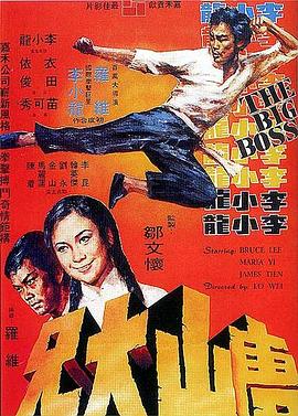 《唐山大兄》百度云网盘夸克下载.阿里云盘.中字.(1971)