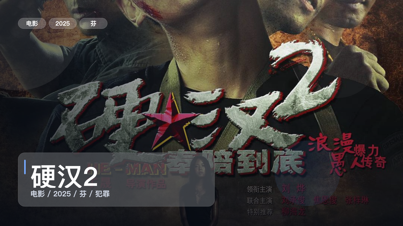 喜欢犯罪片的别划走！《硬汉2》 2025 1080P中文字幕 未删减 限时转存