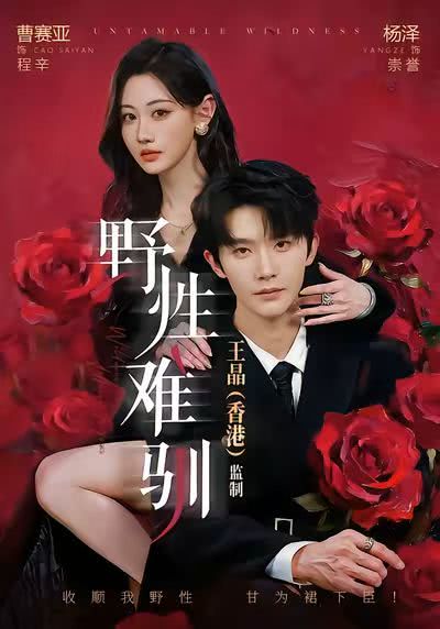 《航向海盗王子的心》百