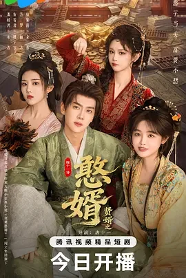 贤婿之憨婿 贤婿2 / 贤婿2之憨婿