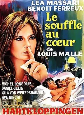 好奇心 (1971)丨7.1分丨戛纳电影节金棕榈奖提名 路易·马勒导演作品 法/意语中字