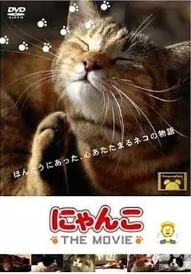 《猫咪物语》高分治愈纪录片推荐 全5部丨9.0分