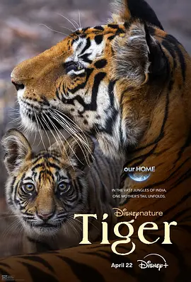 老虎 Tiger (2024)丨8.3分丨冷门高分纪录片推荐