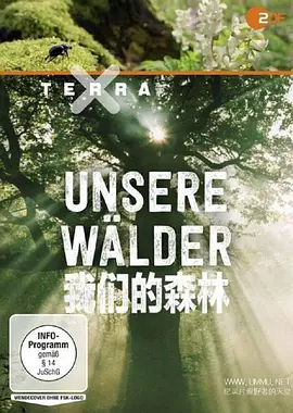我们的森林 (2017)丨9.2分丨冷门高分纪录剧集推荐 全3集