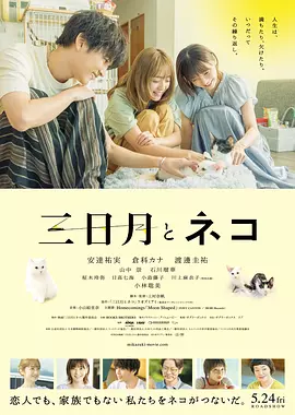 三日月与猫 (2024)丨6.5分丨安达佑实/仓科加奈/渡边圭祐主演 冷门治愈电影推荐 日语中字