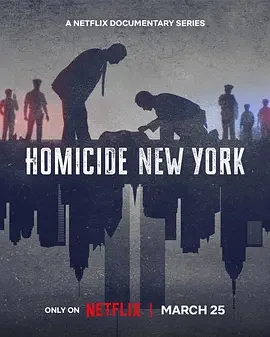 凶杀重案实录:纽约 Homicide: New York / 凶案:纽约篇